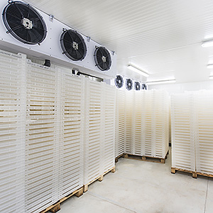 Cold Storage filtration solutions