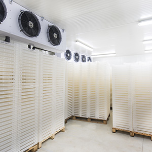Cold storage facility with backup diesel generator