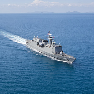 Marine diesel engine fuel purification system